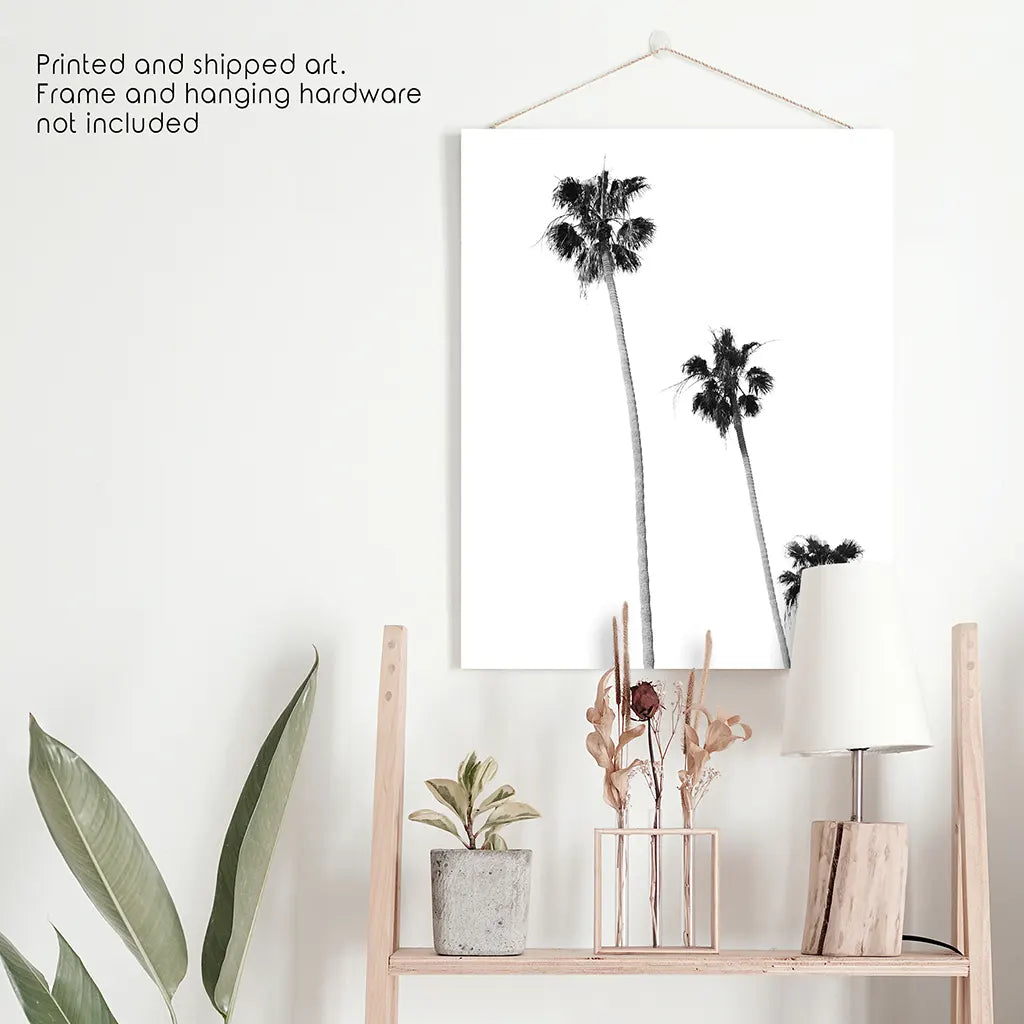 Tropical Palm Trees Print - Black and White Beach Wall Art