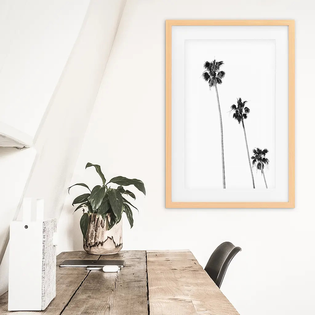 Tropical Palm Trees Print - Black and White Beach Wall Art