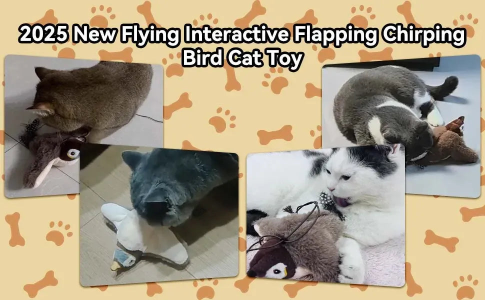 Collage of cats playing with a bird-shaped cat toy on a patterned background.