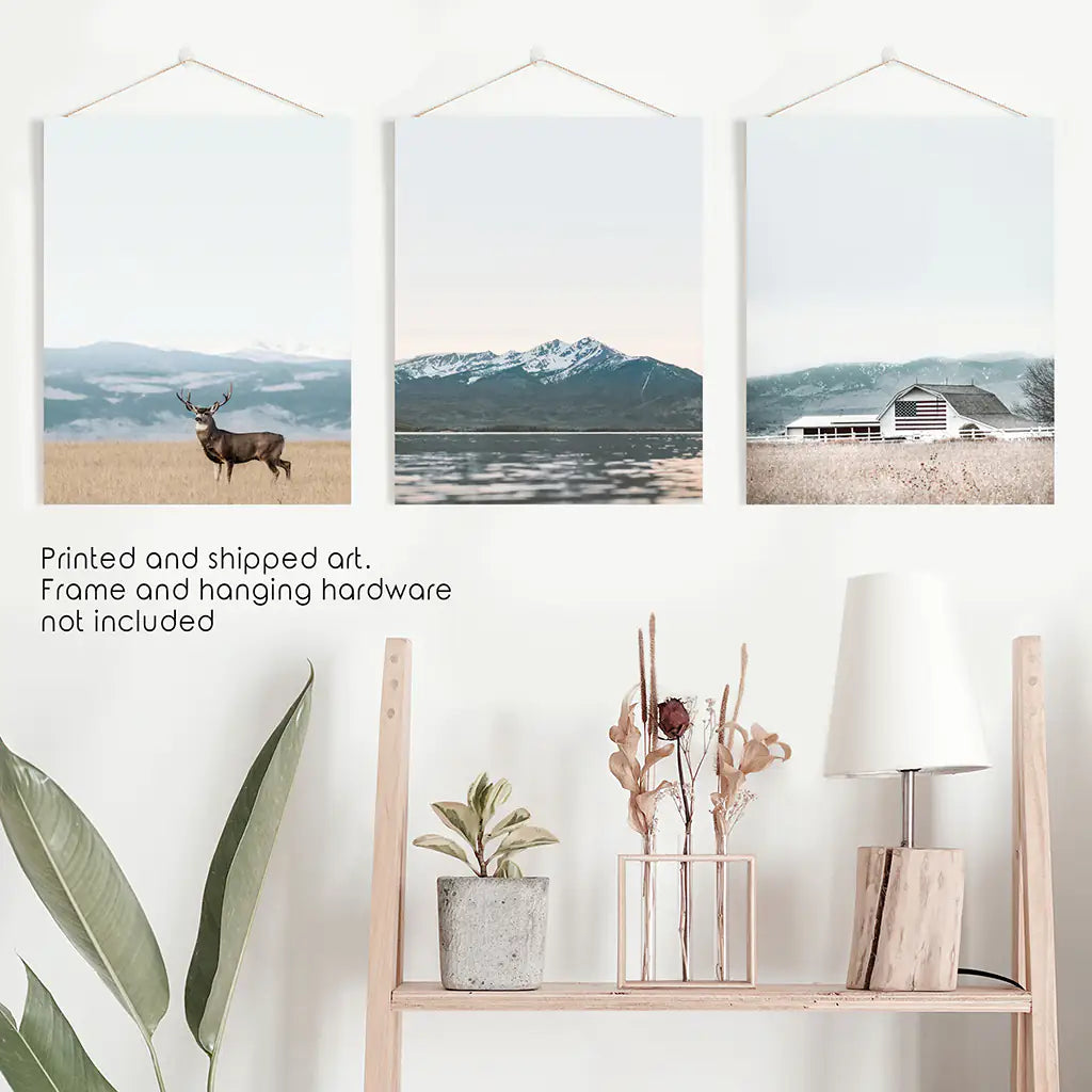 Horses Wall Art, Modern Farmhouse Western 3 Piece Set