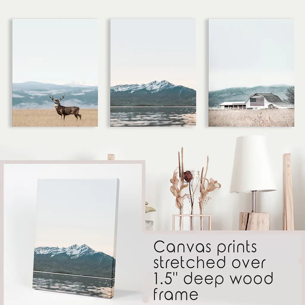 Horses Wall Art, Modern Farmhouse Western 3 Piece Set