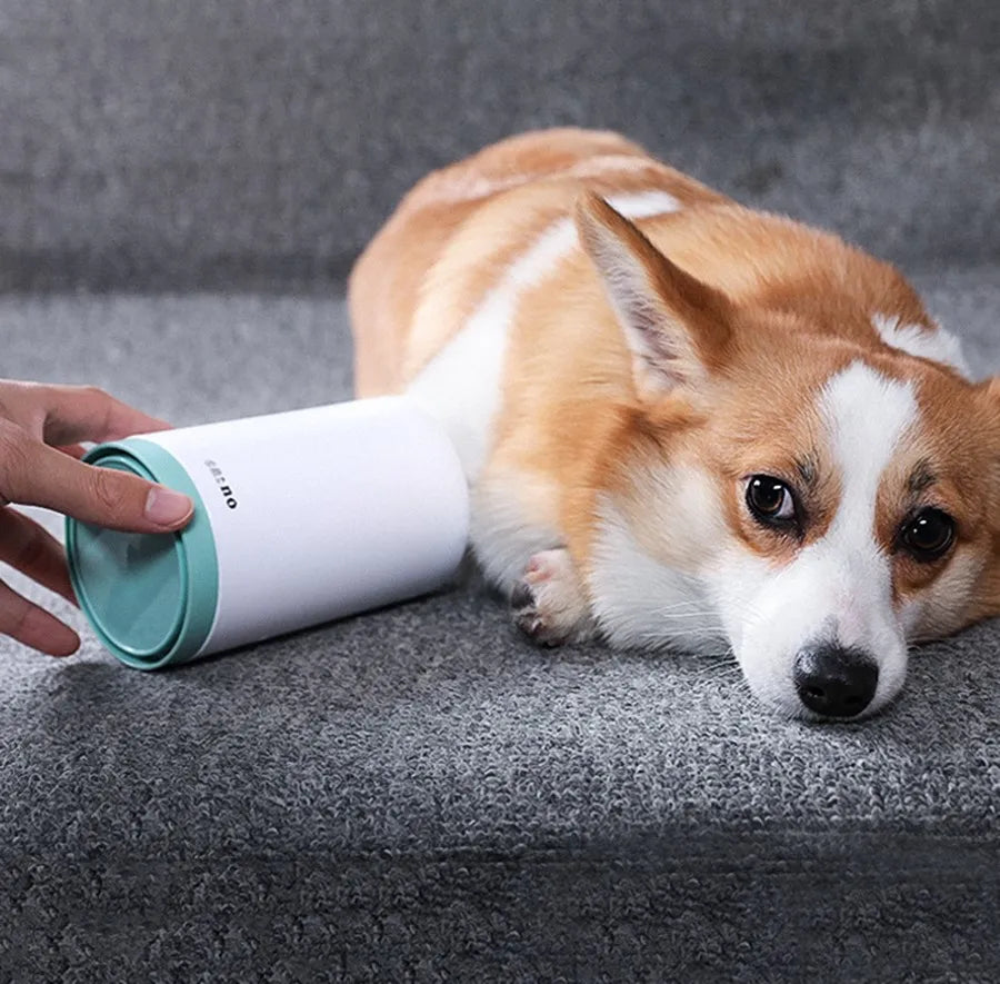 Corgi dog using portable paw cleaner cup with gentle silicone bristles for muddy paw cleaning