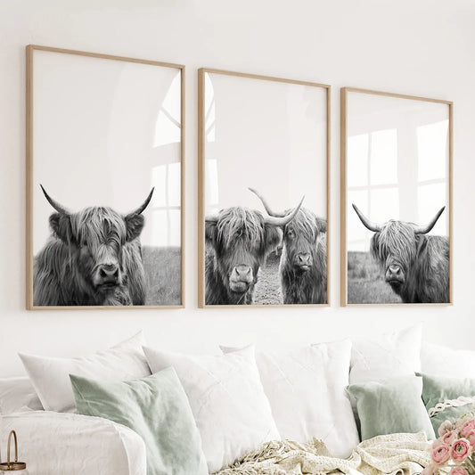 Set of 3 black and white Highland cow prints