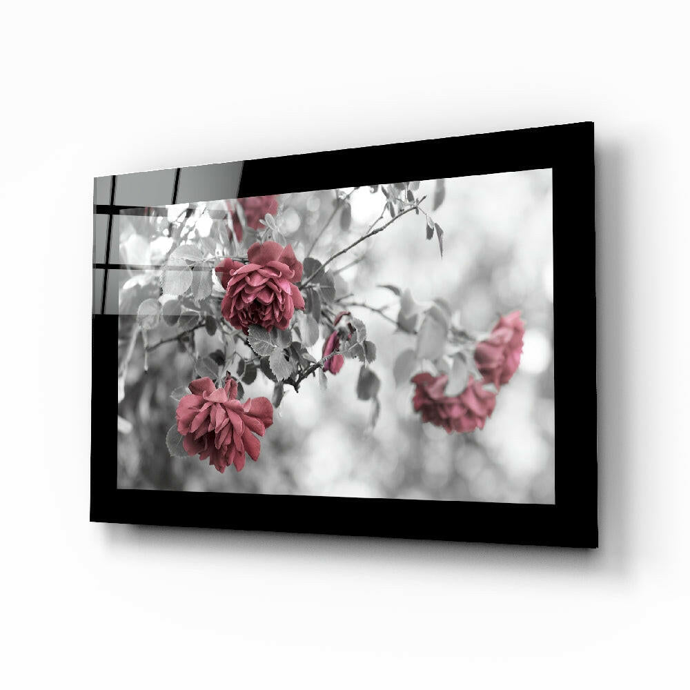 Rosewood glass wall art with romantic rose bloom photography