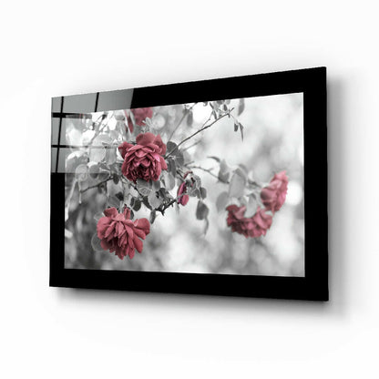 Rosewood glass wall art with romantic rose bloom photography