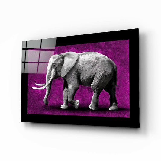 Elephant selective color glass wall art, graphite elephant on magenta background on tempered glass