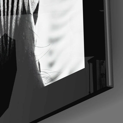Zebra Glass Wall Art