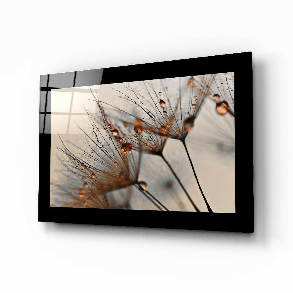 Cinnamon Dandelion sunlit macro glass wall art for bedroom decor