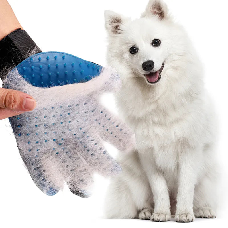 Dog grooming glove in use removing loose fur during petting session