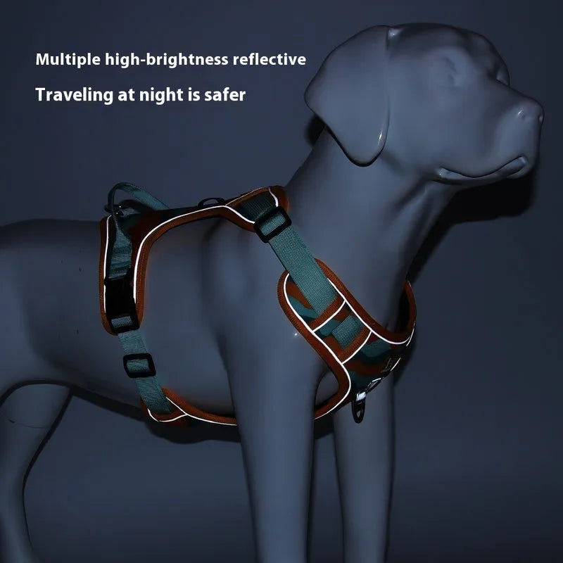 Dog wearing reflective chest harness for night walking visibility in light coffee