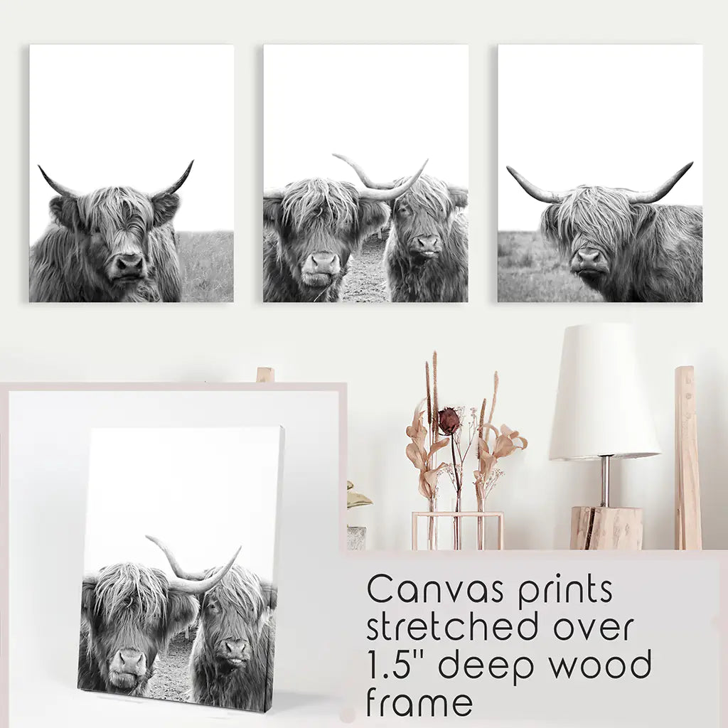 Black White Highland Cow Wall Art Set of 3 Prints