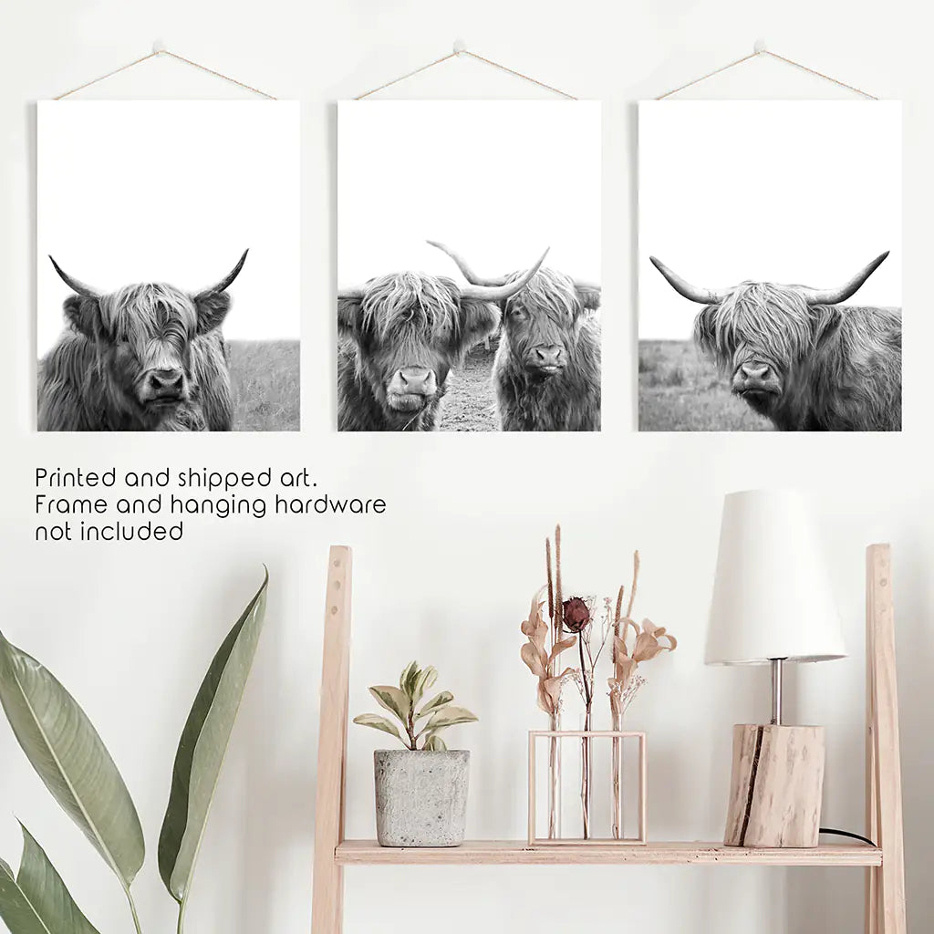 Black White Highland Cow Wall Art Set of 3 Prints