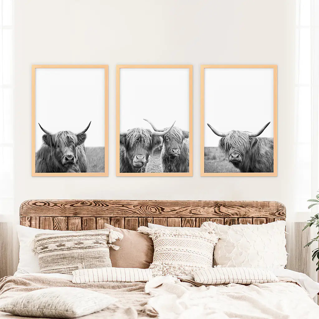 Black White Highland Cow Wall Art Set of 3 Prints