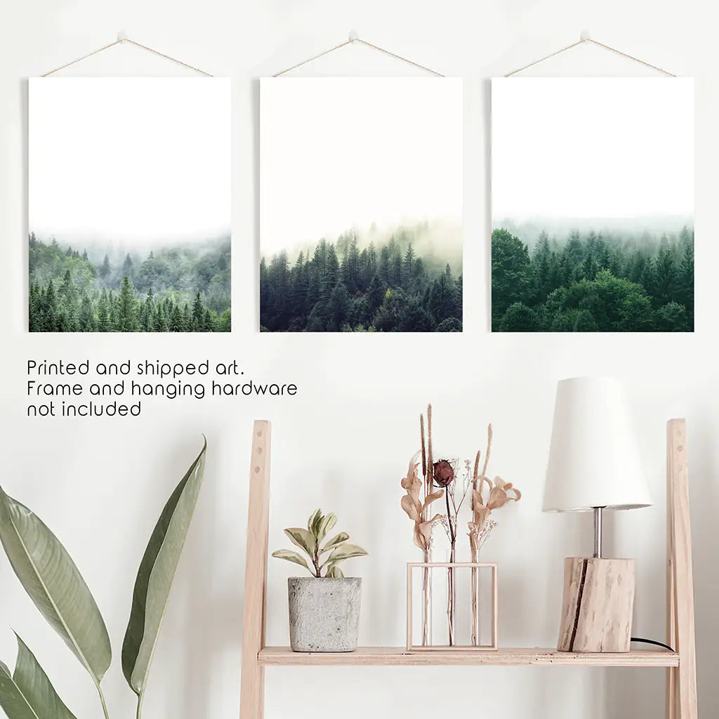 Nordic Forest Wall Art Set of 3. Minimalist Tree Photography