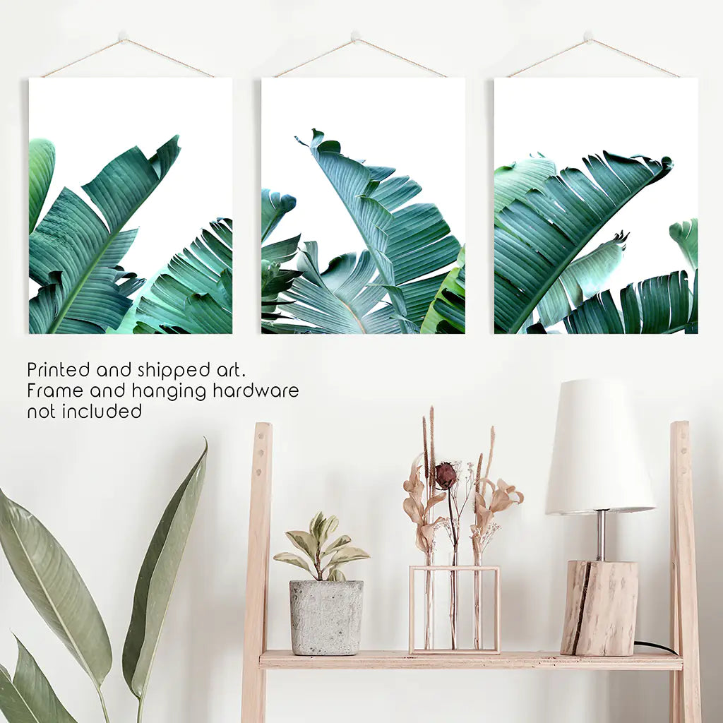 Banana Leaf Wall Art Triptych. Green Tropical Prints
