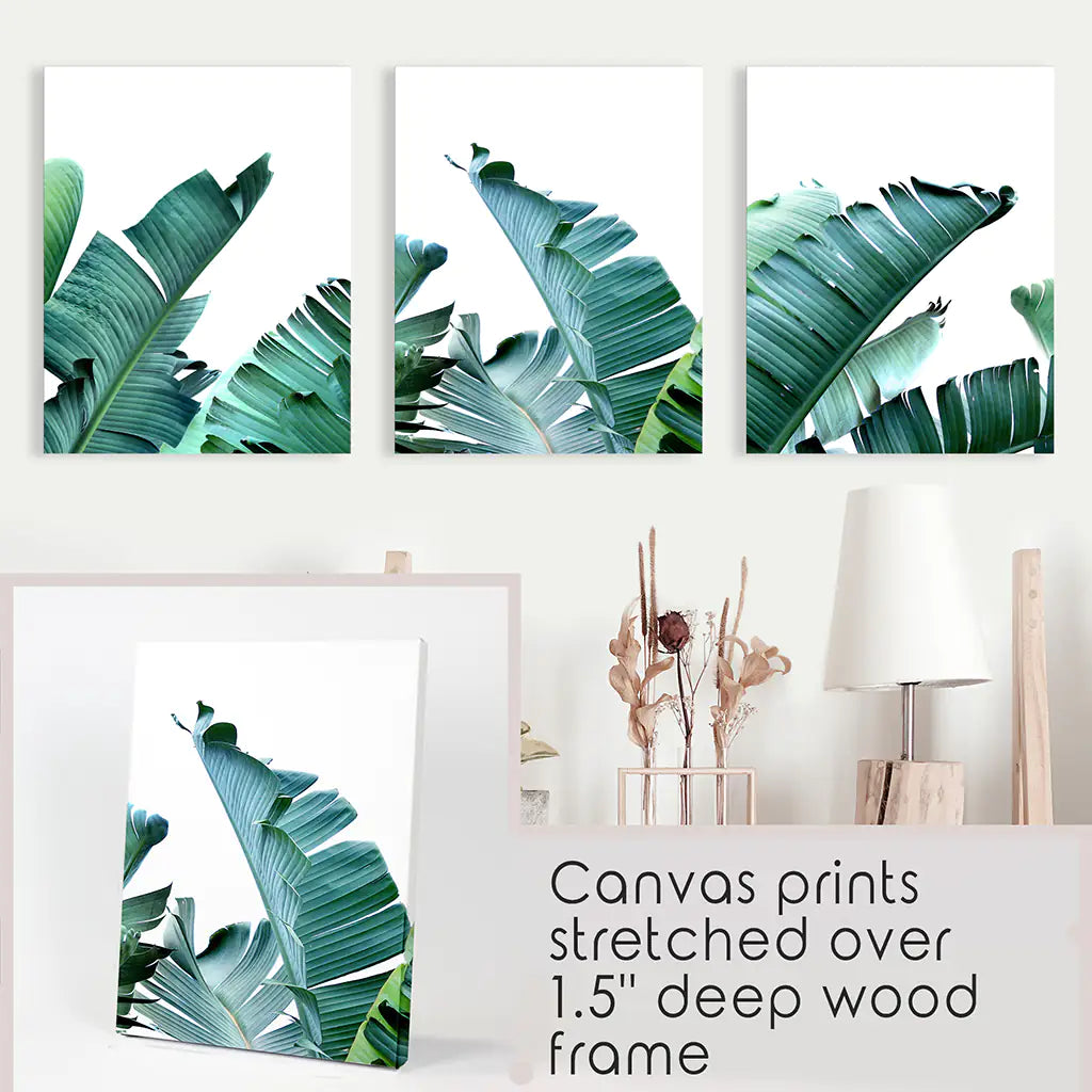Banana Leaf Wall Art Triptych. Green Tropical Prints