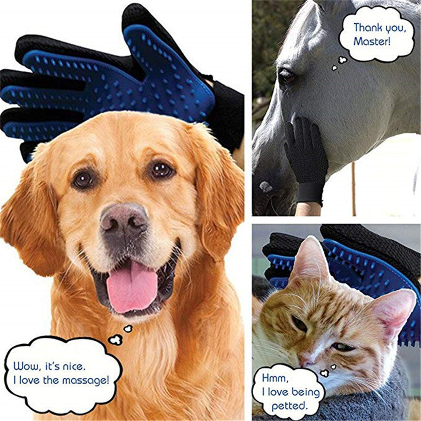 Hand wearing pet grooming glove collecting dog, cat and horse hair effectively