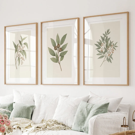 Vintage neutral botanical gallery wall art set of 3 prints