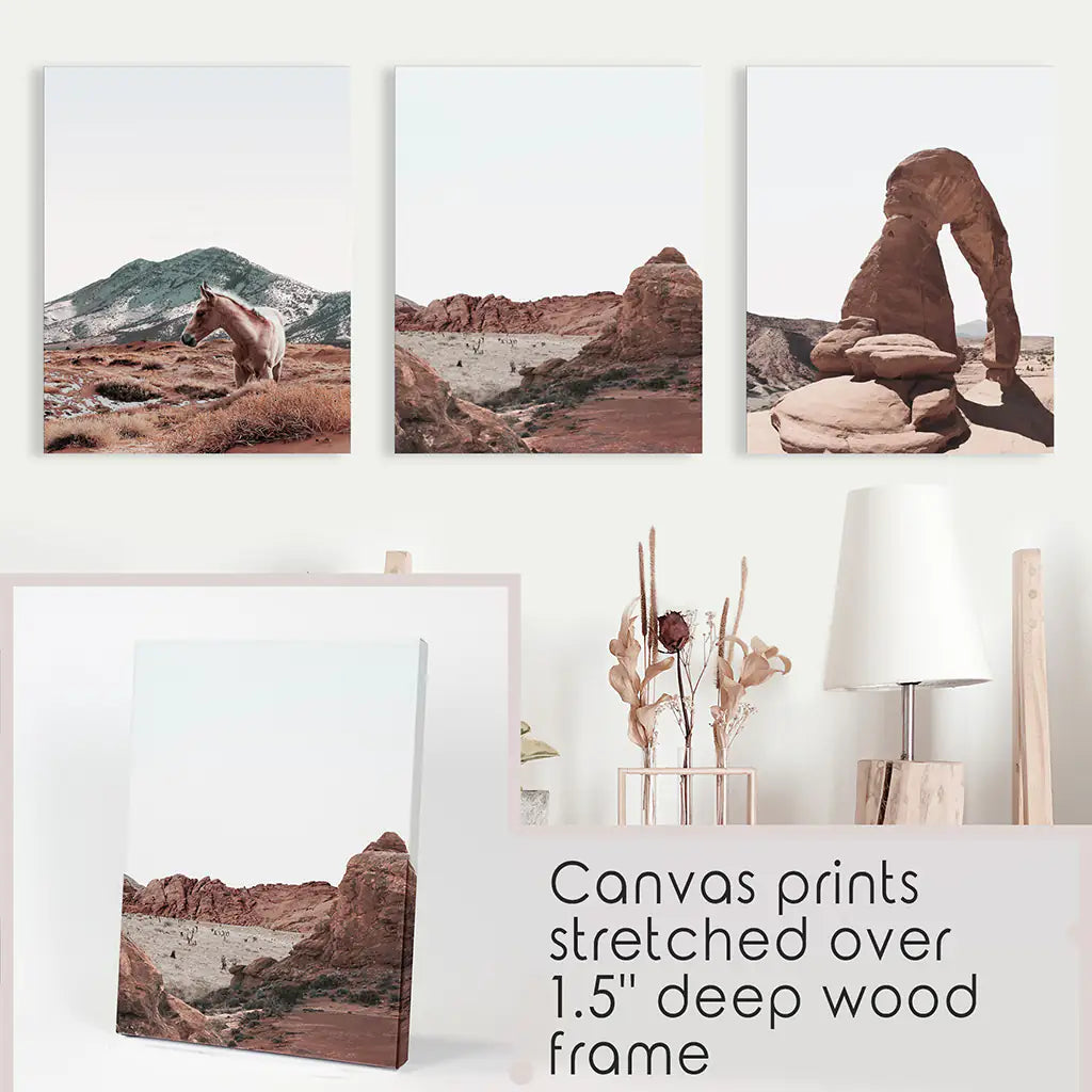 Arches National Park Wall Art Set of 3. Horse in Desert
