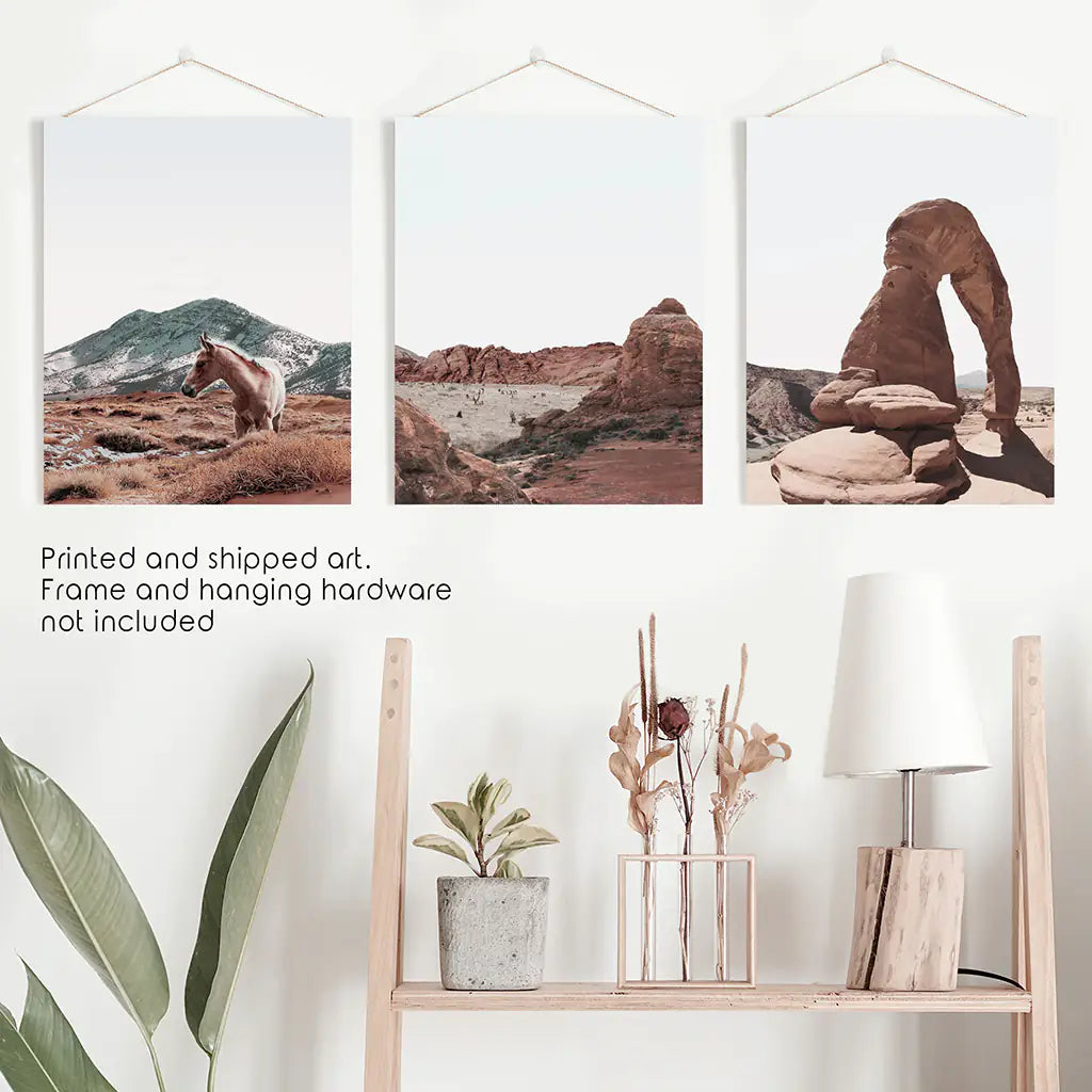 Arches National Park Wall Art Set of 3. Horse in Desert
