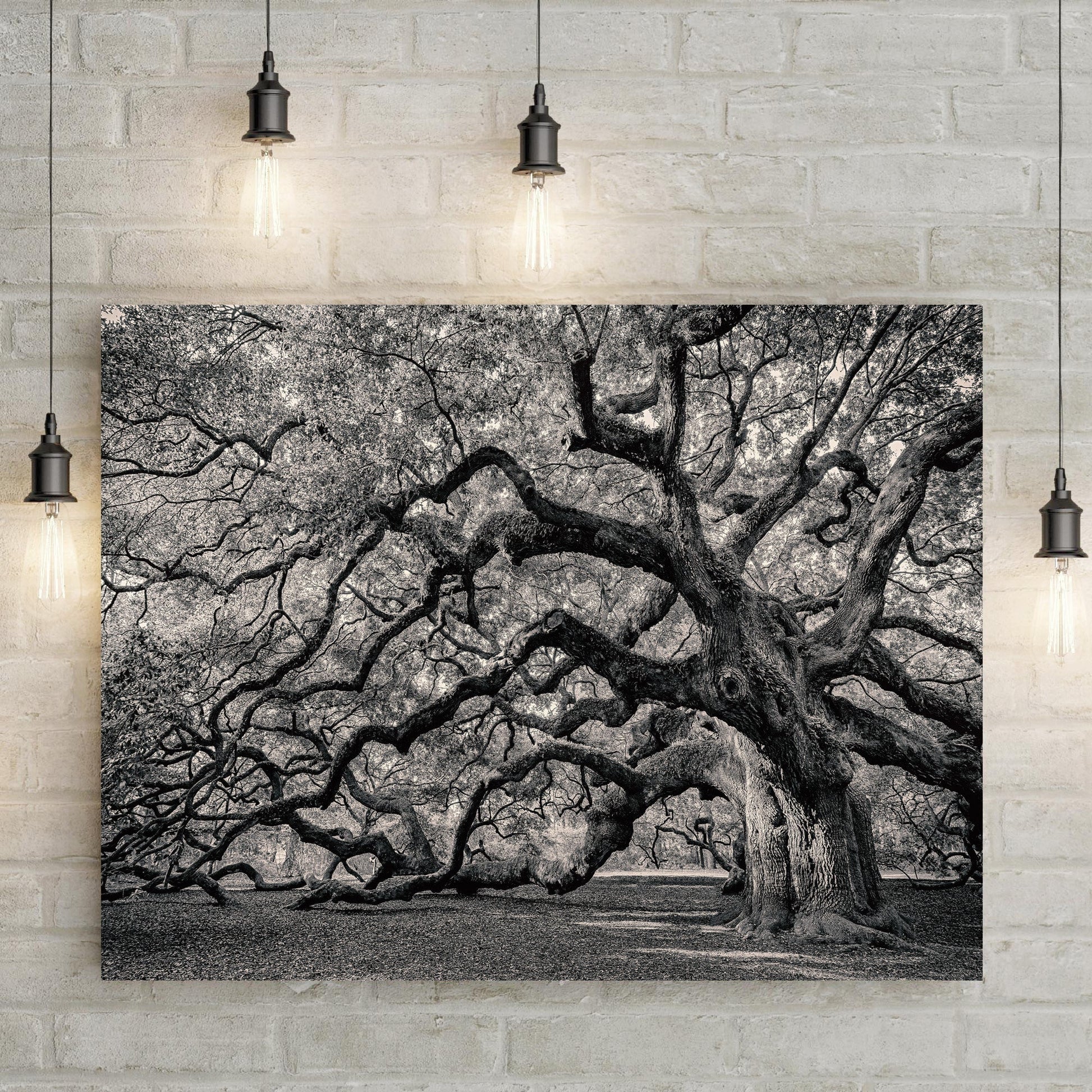 Black and white ancient oak tree with sprawling mossy branches, canvas wall art