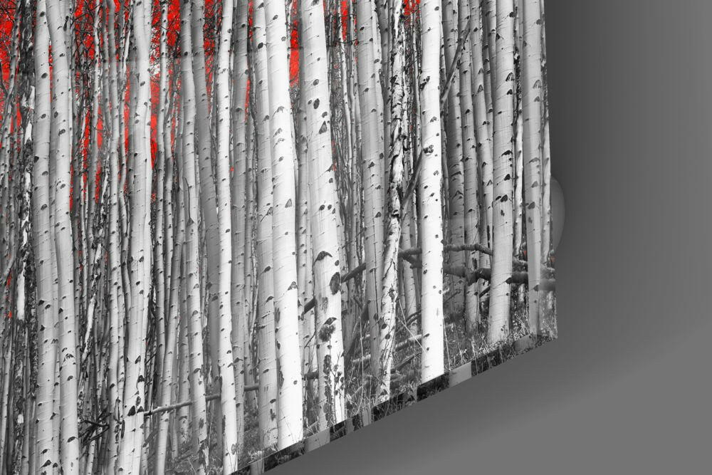 Red Forest Glass Wall Art, Autumn Woodland Glass Decor