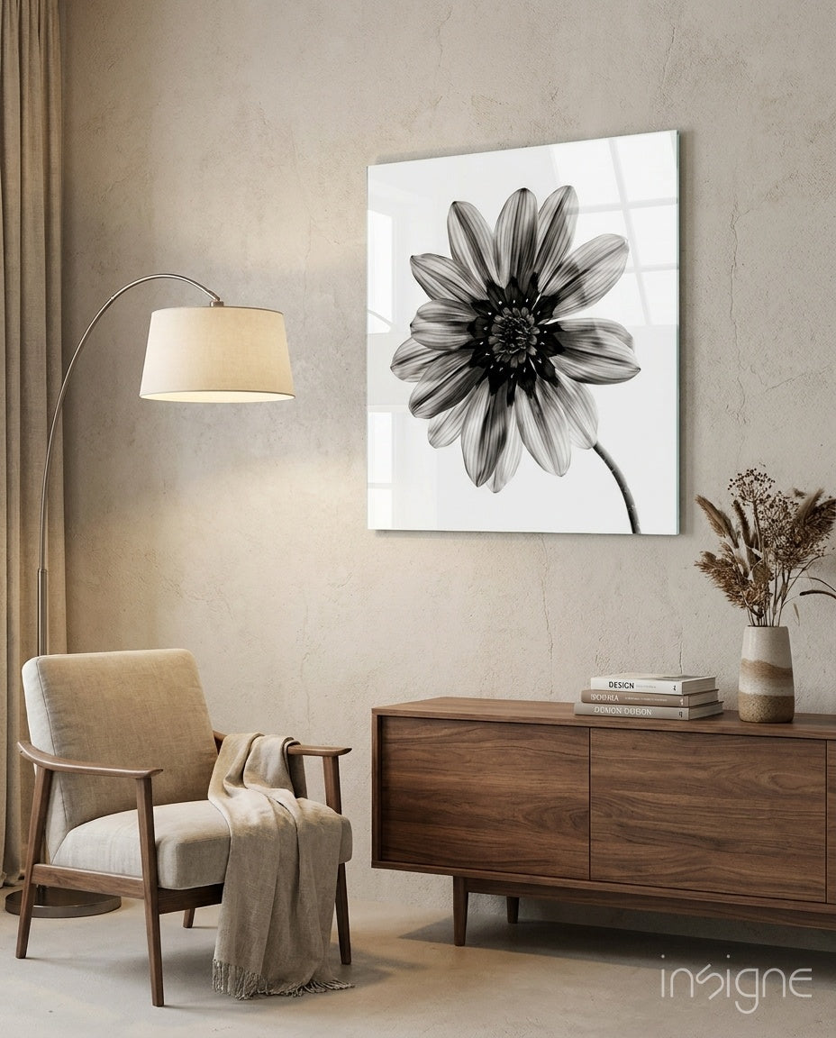 Backlit monochrome daisy glass wall art
