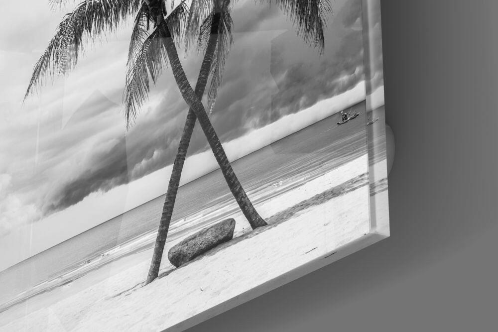 Monochrome Palm Trees Glass Wall Art