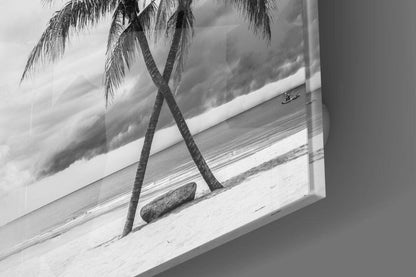 Monochrome Palm Trees Glass Wall Art