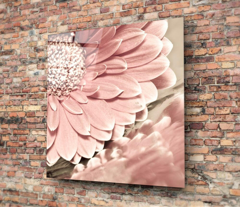 Pink Gerbera Daisy Glass Wall Art