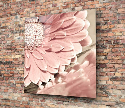 Pink Gerbera Daisy Glass Wall Art