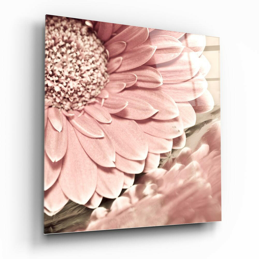 Pink Gerbera Daisy Glass Wall Art