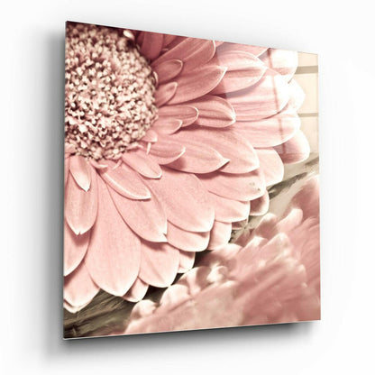Pink Gerbera Daisy Glass Wall Art