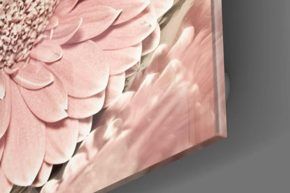 Pink Gerbera Daisy Glass Wall Art