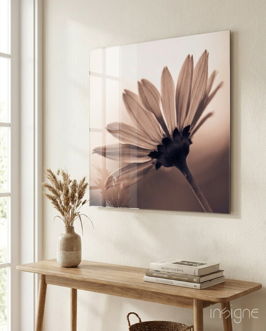 Sepia backlit daisy glass wall art