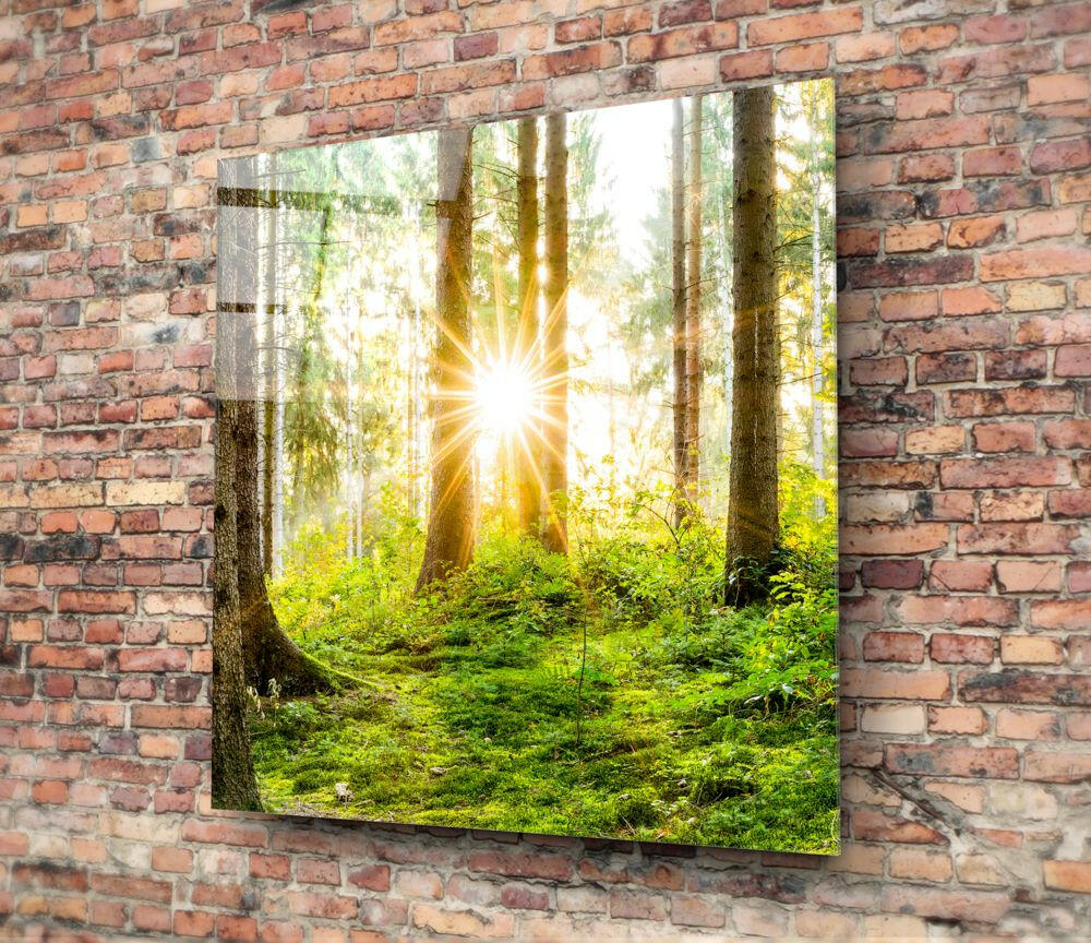 Forest Glass Wall Art Tempered Glass Nature Print