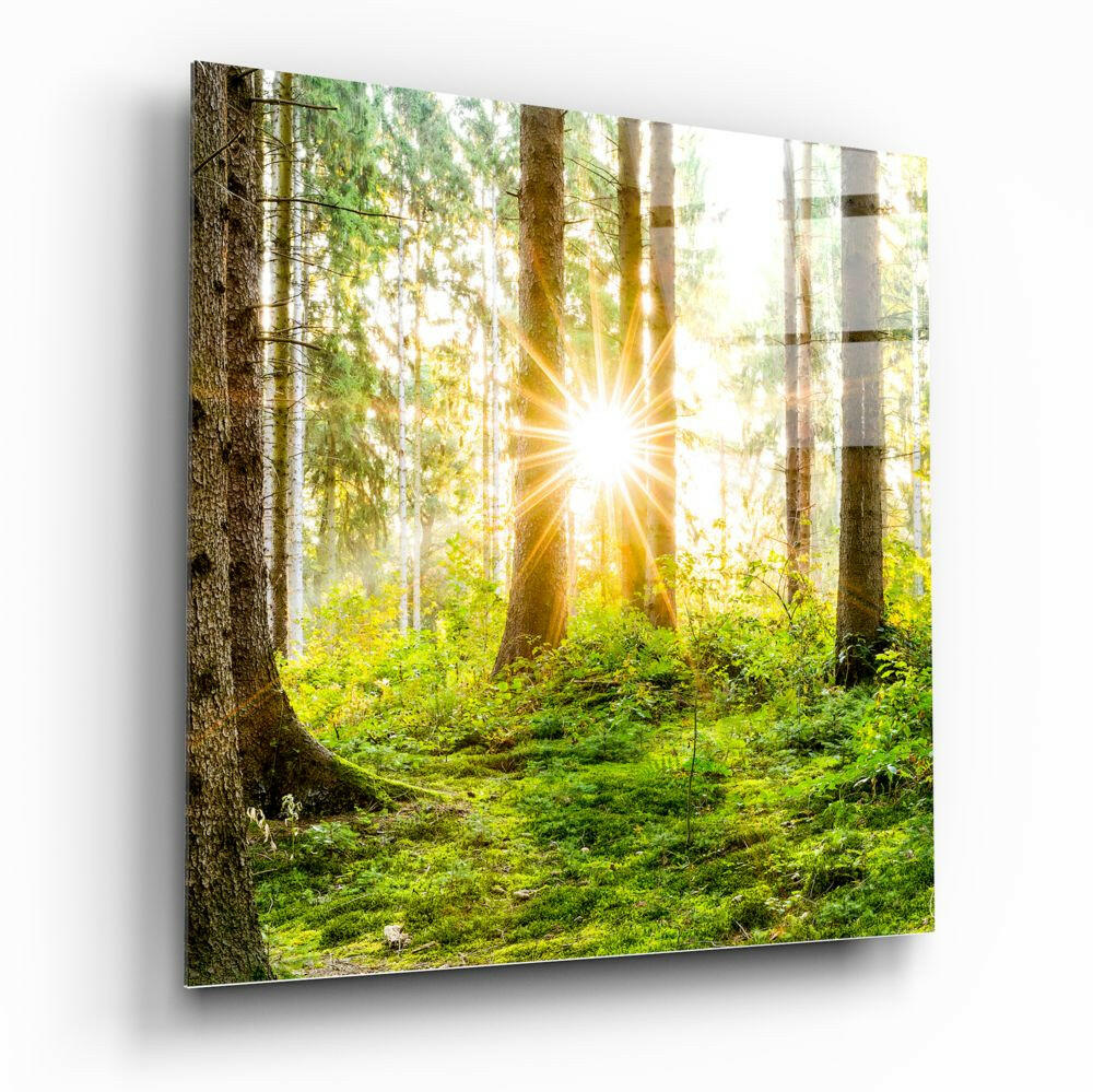 Forest Glass Wall Art Tempered Glass Nature Print