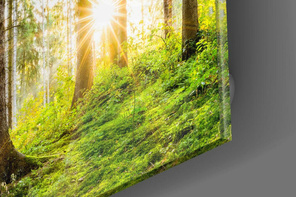 Forest Glass Wall Art Tempered Glass Nature Print
