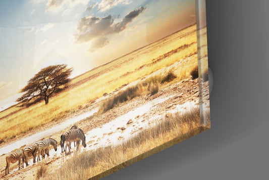 Close-up of the glossy tempered glass edge on the African savanna glass wall art