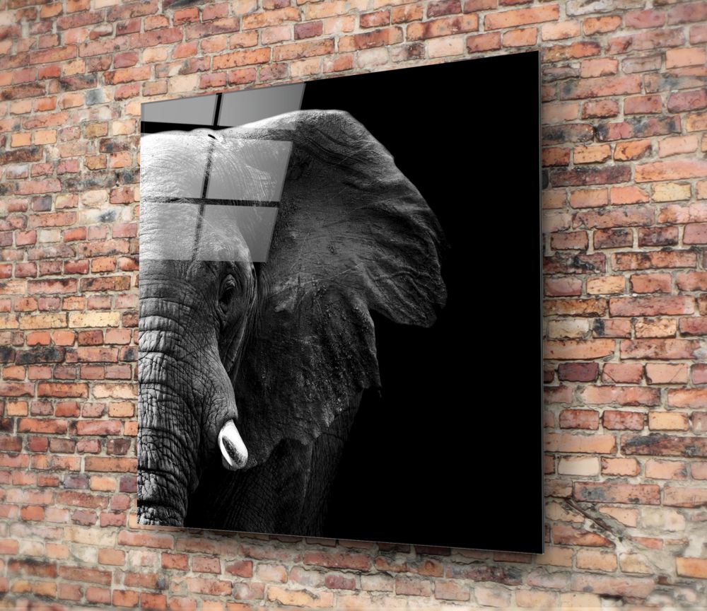 Elephant Light and Shadow Glass Wall Art