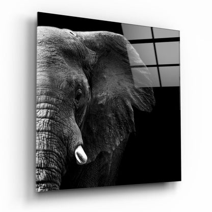 Elephant Light and Shadow Glass Wall Art