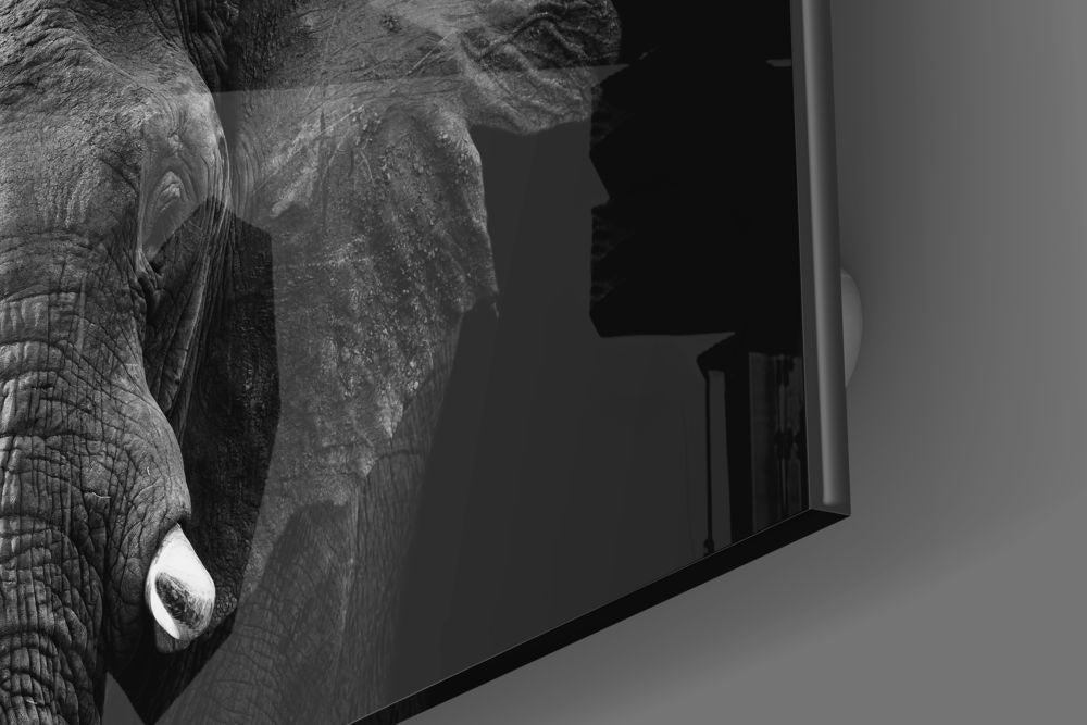 Elephant Light and Shadow Glass Wall Art