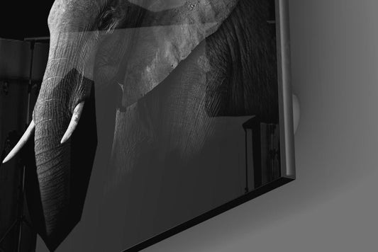 Black and white elephant glass wall art at an angle showing the glossy edge of the tempered glass