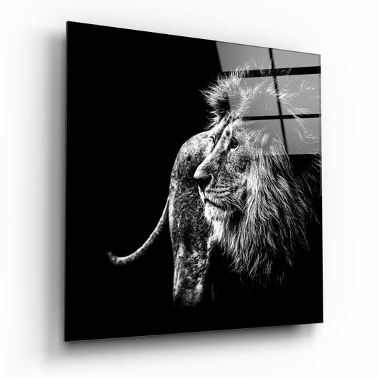 Black and white photo of a lion in profile with a windswept mane against a black background, printed on glass