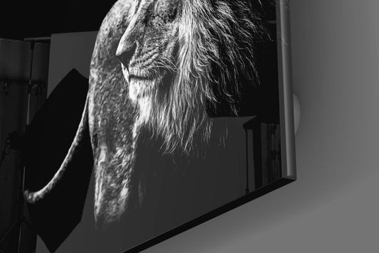 Black and white lion profile glass wall art at an angle showing the glossy edge of the tempered glass