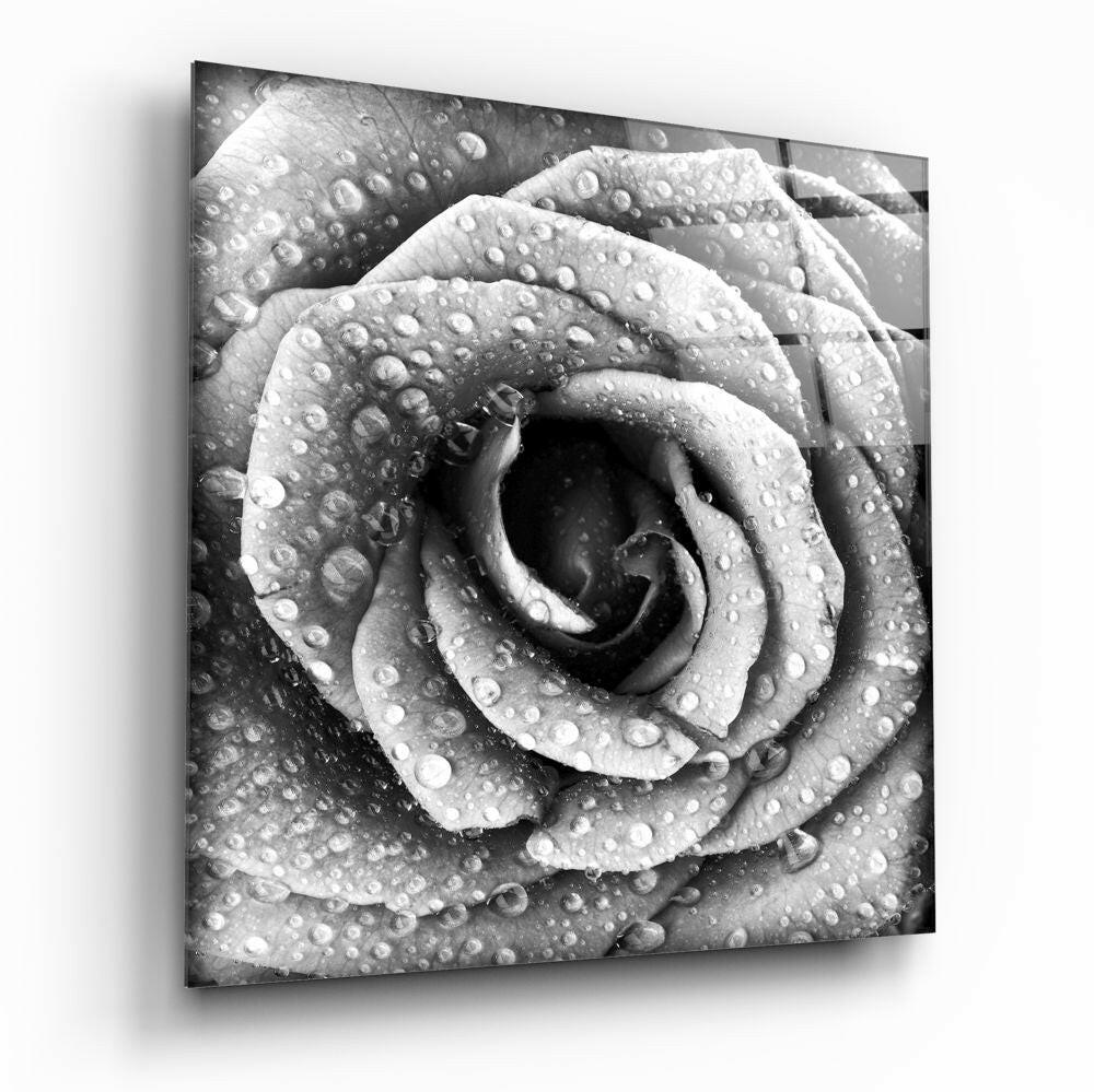 Black and white dewy rose glass wall art