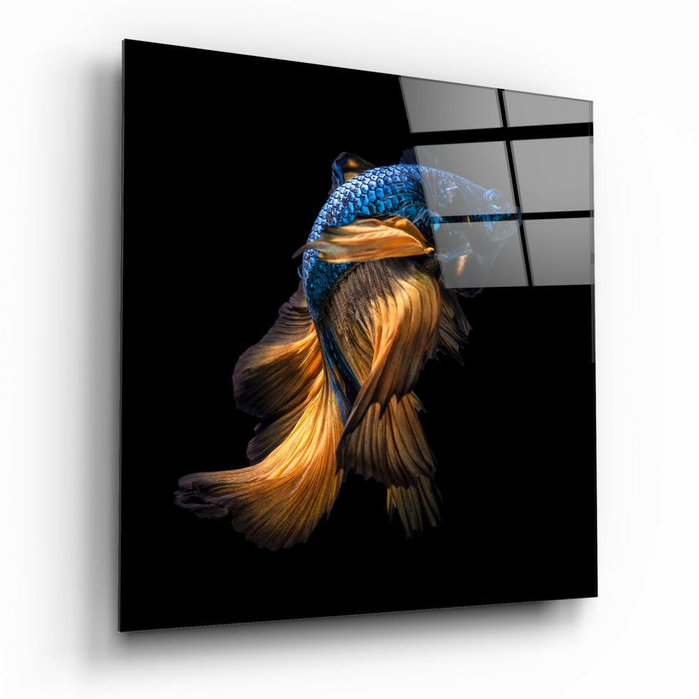 Betta Fish glass wall art tempered glass print