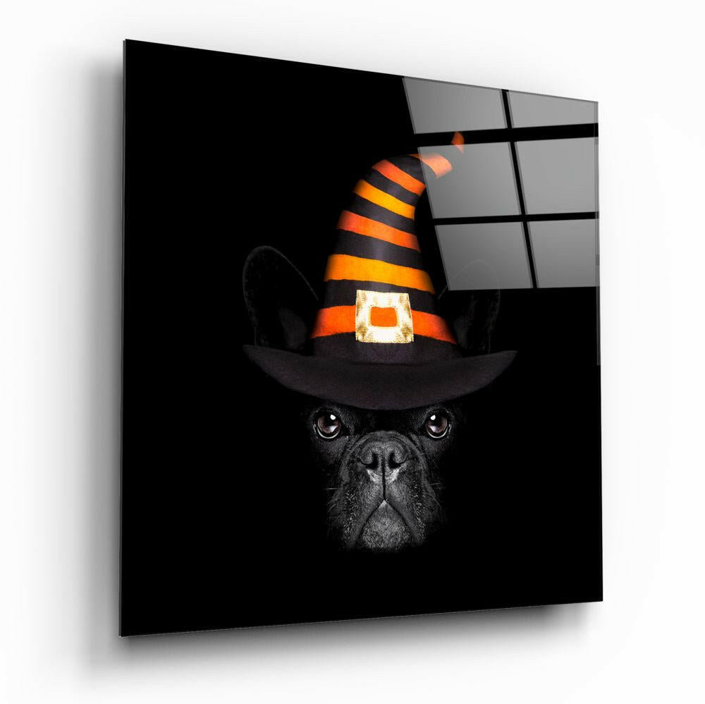 Dog glass wall art, characterful dog portrait on high-gloss tempered glass