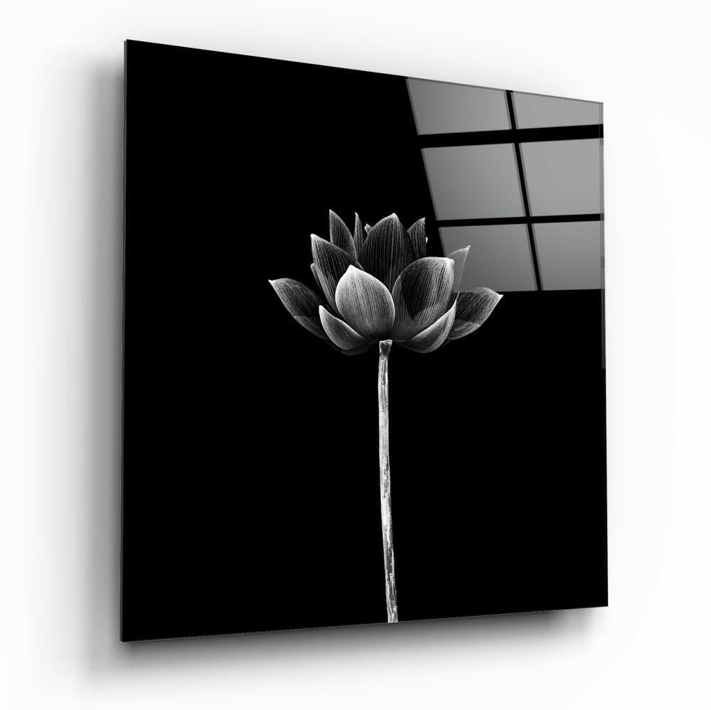 Floral botanical glass wall art hanging on a wall
