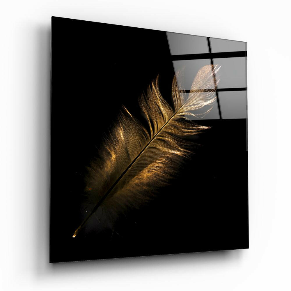 Golden Backlit Feather Glass Wall Art